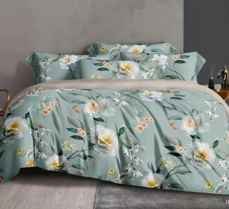 Постельное белье "Cleo" Soft Tencel 41/1001-TS, Семейный