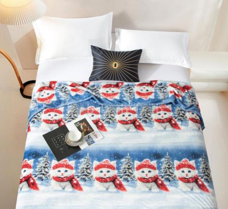 Плед "Absolute" XH PW 21 Велсофт, 150х200