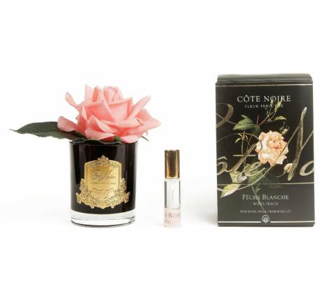 Ароматизированная французская роза "COTE NOIRE" (коралловый) черная ваза, 1 спрей 15 мл