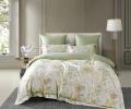 Постельное белье "Asabella" 2220-6 Фланель, Евро