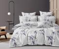 Постельное белье Valtery AP-174 Поплин, Семейный