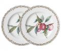 Набор закусочных тарелок 2 шт. "FRUIT GARDEN" 590-646, диаметр 20,5 см