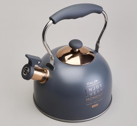 Чайник со свистком "ТЮДОР" 914-161, 2,5 л