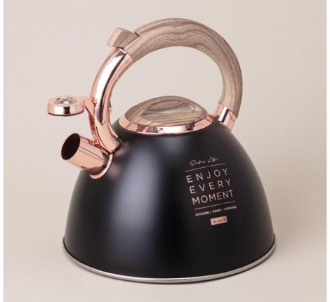 Чайник со свистком "ТЮДОР" 908-072, 3,0 л