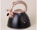 Чайник со свистком "ТЮДОР" 908-072, 3,0 л