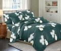 Постельное бельё "Cleo" Art Color 20/076-AC Полисатин, 2 спальный