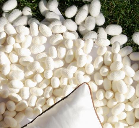 Наволочка шёлковая "Silkow Venezia" 50х80, кант коричневый (плотность 22 момми)