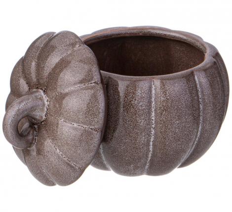 Блюдо  для запекания с крышкой "ТЫКВА" 490-471, 600 мл