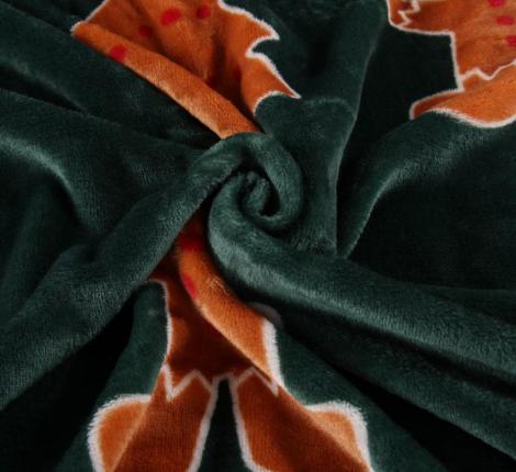 Плед "Sofi de Marko" Christmas Сake (зеленый) Велсофт, 150х200