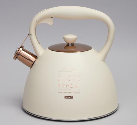 Чайник со свистком "ТЮДОР" 914-155, 3,0 л