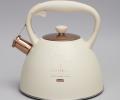 Чайник со свистком "ТЮДОР" 914-155, 3,0 л
