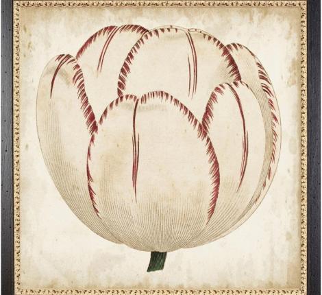 Постер "POP FLORAL" BL-2, 58х58