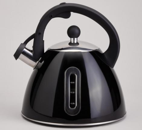 Чайник со свистком и мерной шкалой "AGNESS" 940-021, 3,2 л