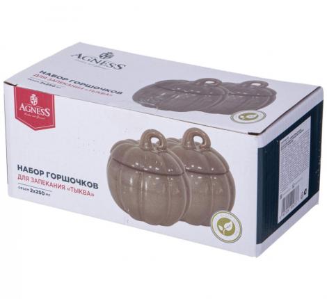 Блюдо  для запекания с крышкой "ТЫКВА" 490-471, 600 мл