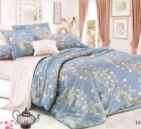 Постельное белье "Cleo" Pure Cotton 20/164-PC Поплин, 2 спальный