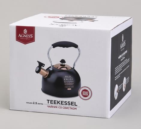 Чайник со свистком "ТЮДОР" 914-161, 2,5 л