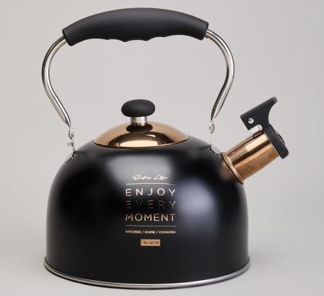 Чайник со свистком "ТЮДОР" 914-162, 2,5 л
