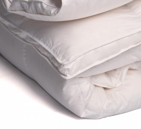 Одеяло пуховое «Эколь NORD» белый пух, 220х240