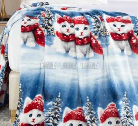 Плед "Absolute" XH PW 21 Велсофт, 150х200