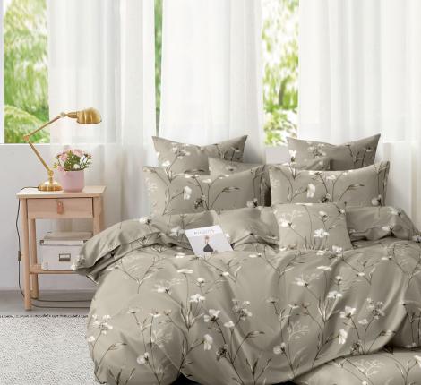 Постельное белье Valtery AP-157 Поплин, Семейный