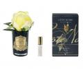 Ароматизированная роза "COTE NOIRE" (желтый) черная ваза, 1 спрей 5 мл 13,5х8х