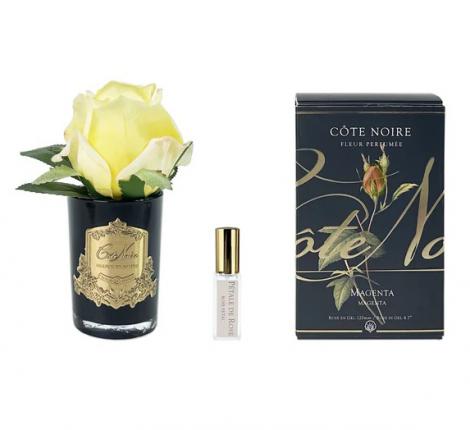 Ароматизированная роза "COTE NOIRE" (желтый) черная ваза, 1 спрей 5 мл