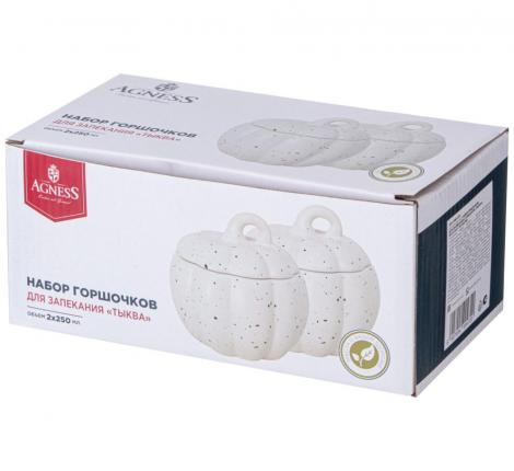 Набор горшочков для запекания с крышкой 2 шт. "ТЫКВА" 490-472, 250 мл