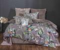 Постельное белье "Kazanov.A." Колибри Каллиопа (капучино) Велюр/Egypt Cotton, Евро