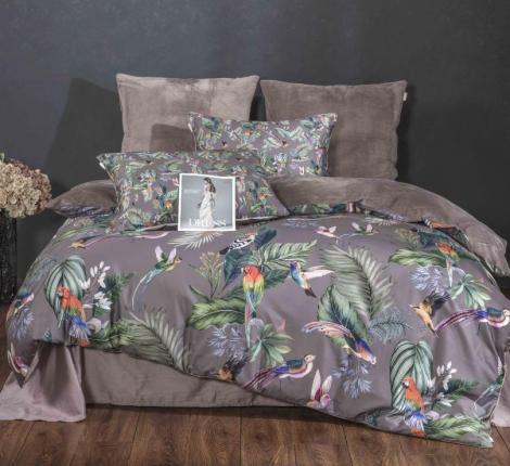 Постельное белье "Kazanov.A." Колибри Каллиопа (капучино) Велюр/Egypt Cotton, Евро